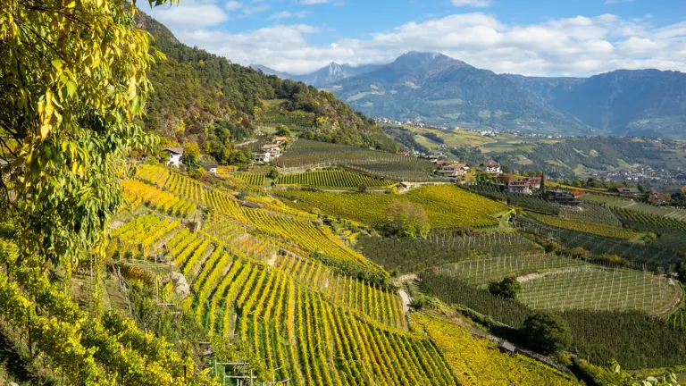 A scenic view of a landscape