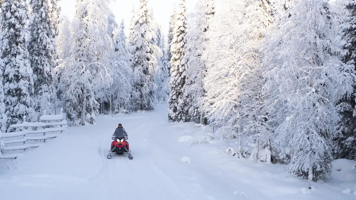 Lapland Excursion Snowmobile 2