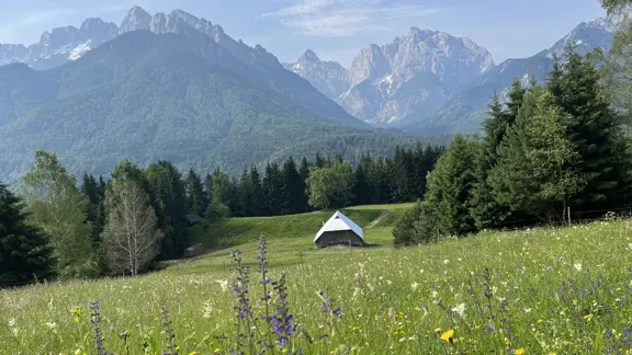Kranjska Gora meadows on srednji vrh walk