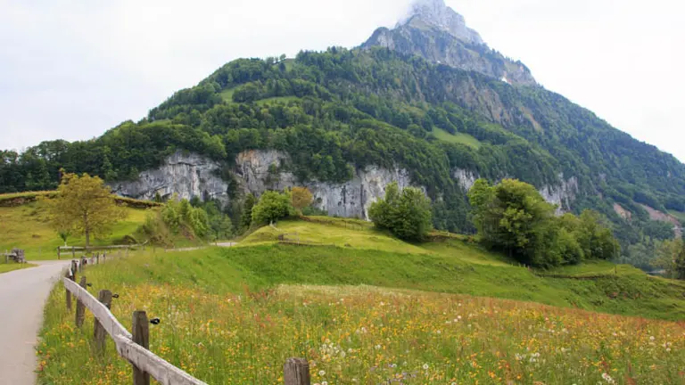 A scenic view of a landscape