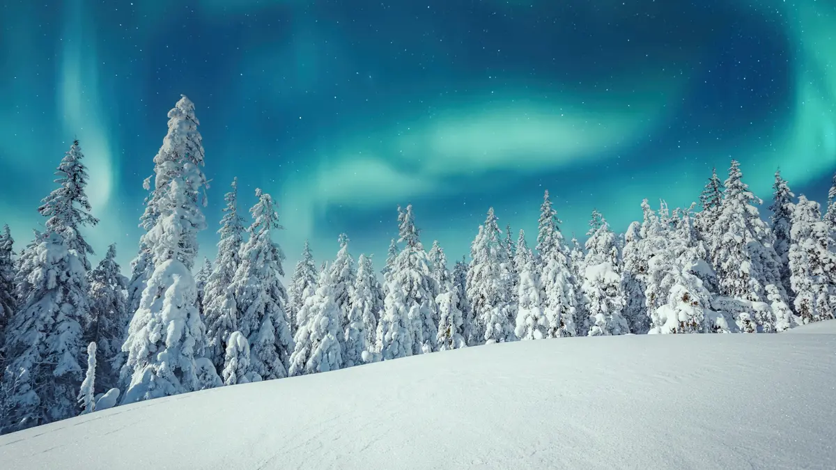 Guide Lapland Photograph The Lights 3