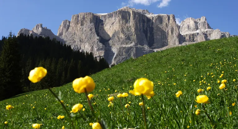 A scenic view of a landscape