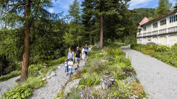 Schatzalp Botanical Garden