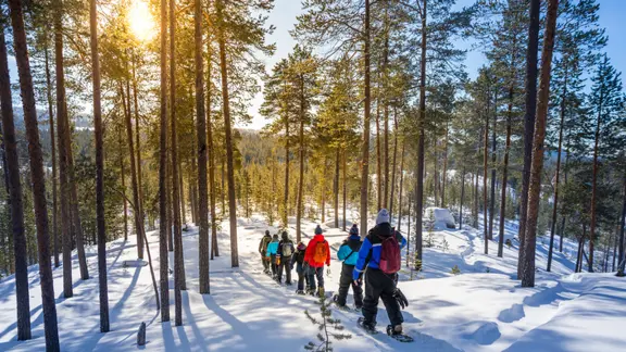 Lapland Excursion Snowshoeing