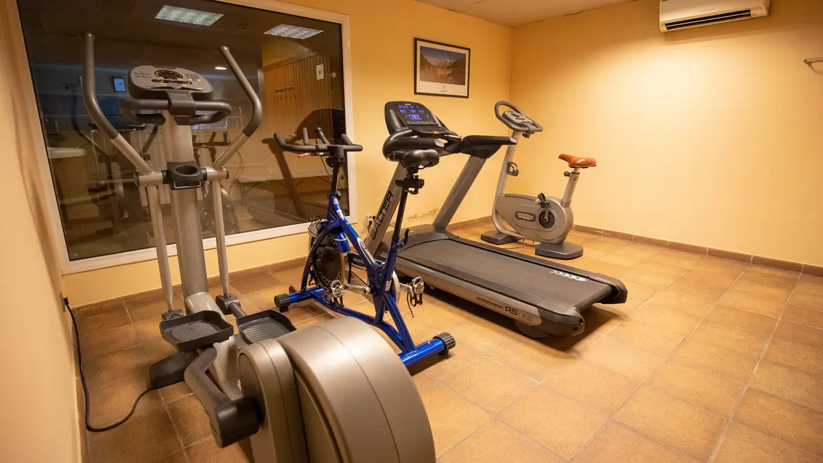 Hotel Magic Ski Arinsal Fitness Room