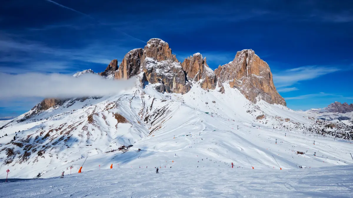 Adobestock 221802642