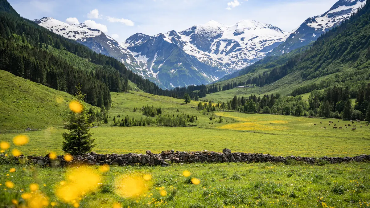 Hohe National Park Zell Am See Austria