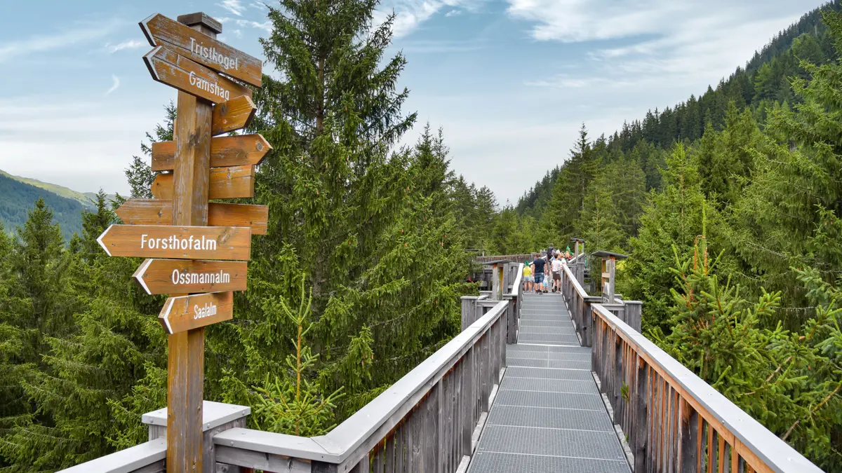 Talschluss Saalbach Hinterglemm