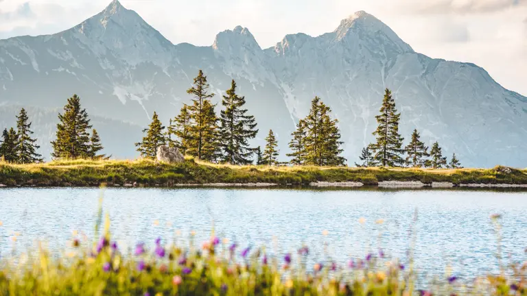 A scenic view of a landscape