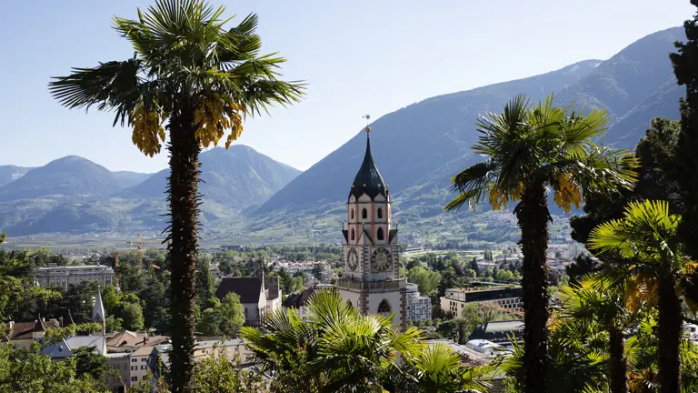 A scenic view of a landscape