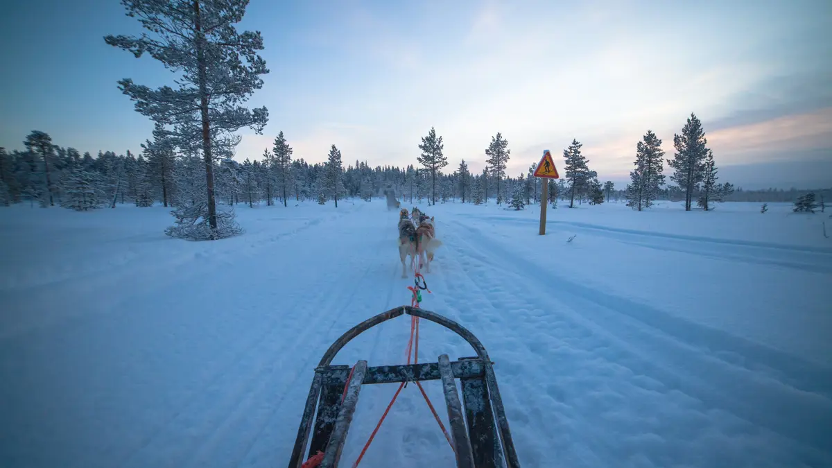 Harriniva Adventure Resort Muonio Husky Safari 3