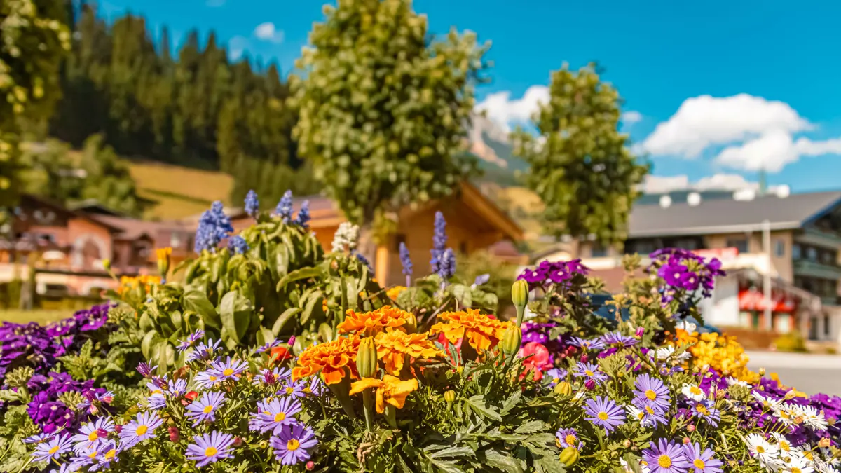 Filzmoos Flowers Village Centre Copright Martin Erdniss Adobestock 458298849