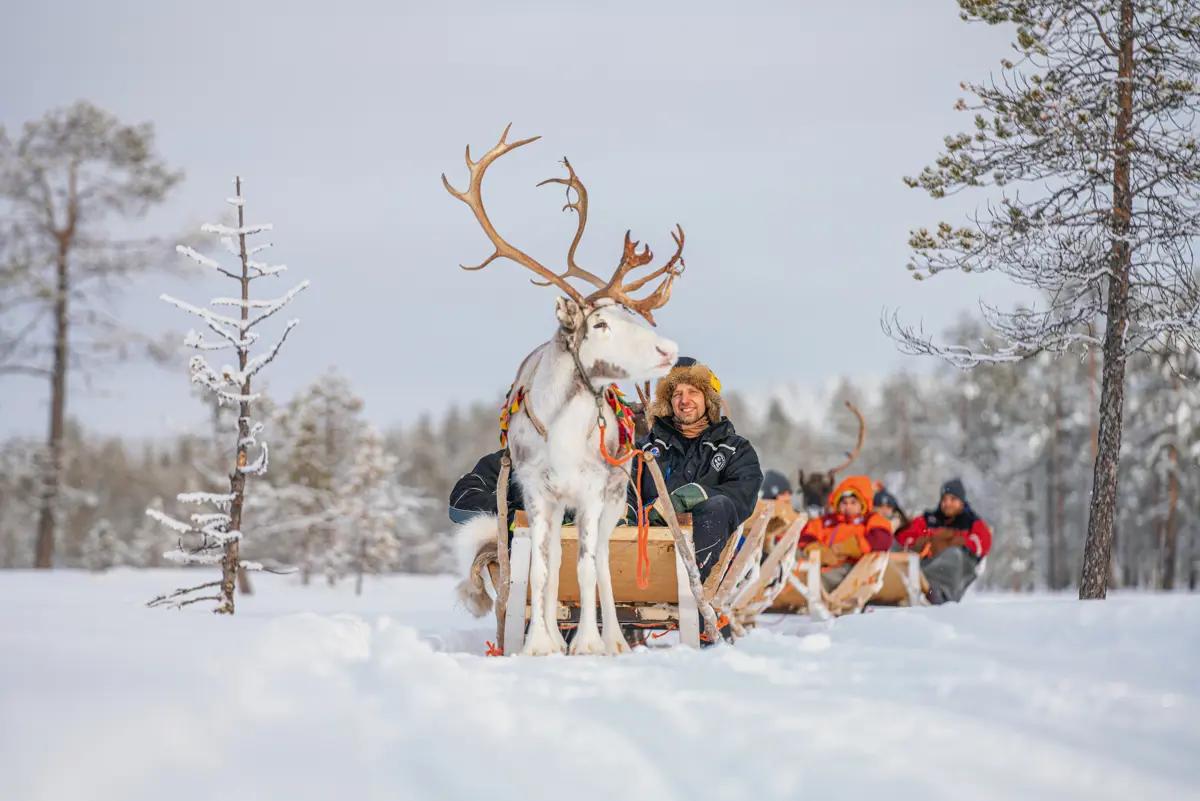 Muonio Finland Reindeer Sleigh Ride 4