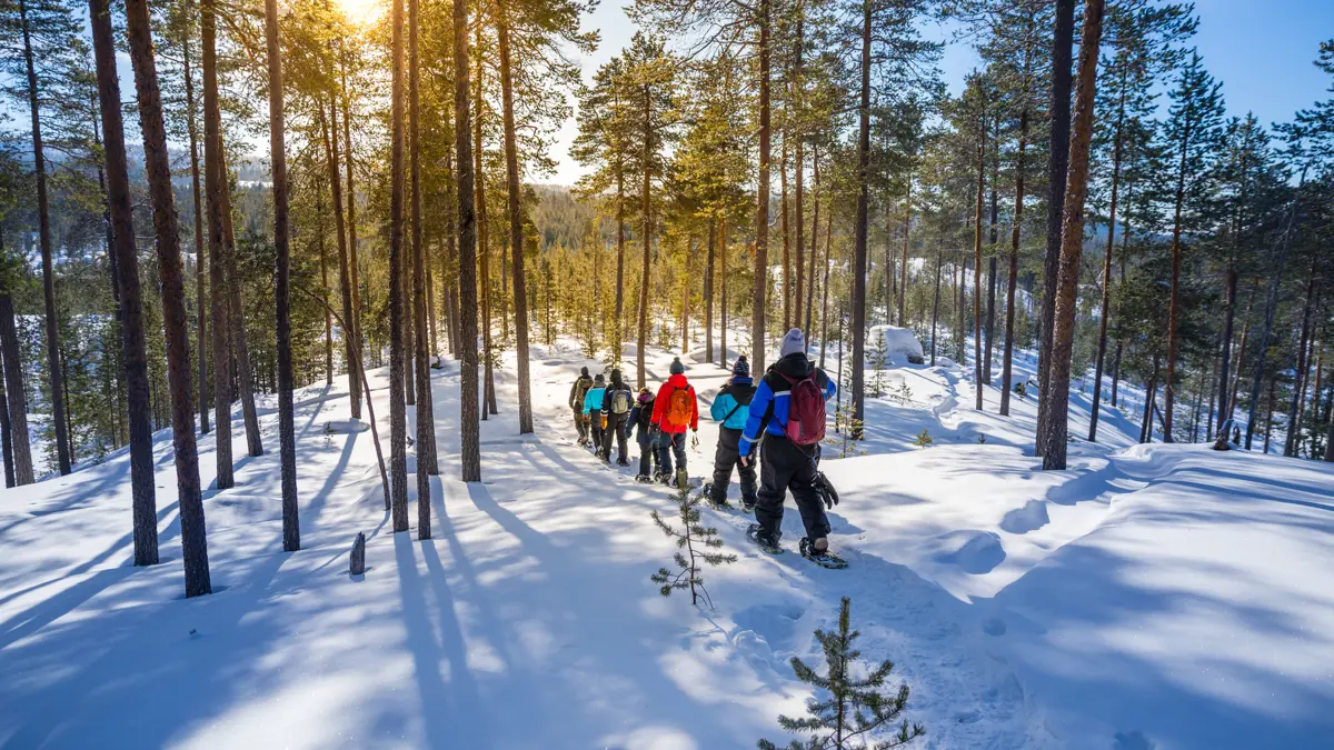 Muotka Wilderness Lodge Saariselka Snowshoe