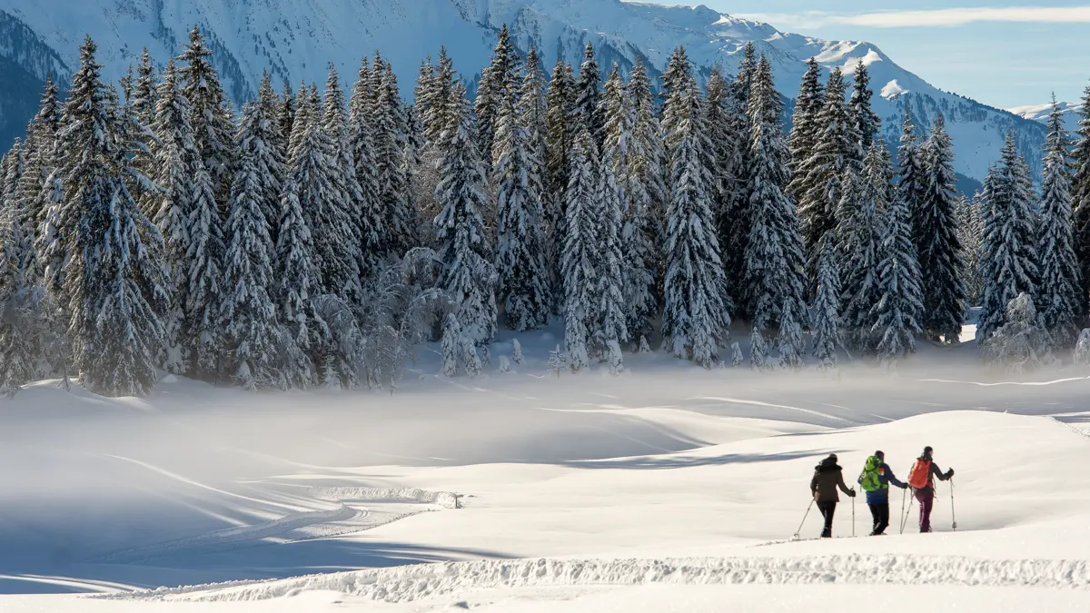 Seefeld Ski Resort Winter Snow Shoeing C Johannes Geyer