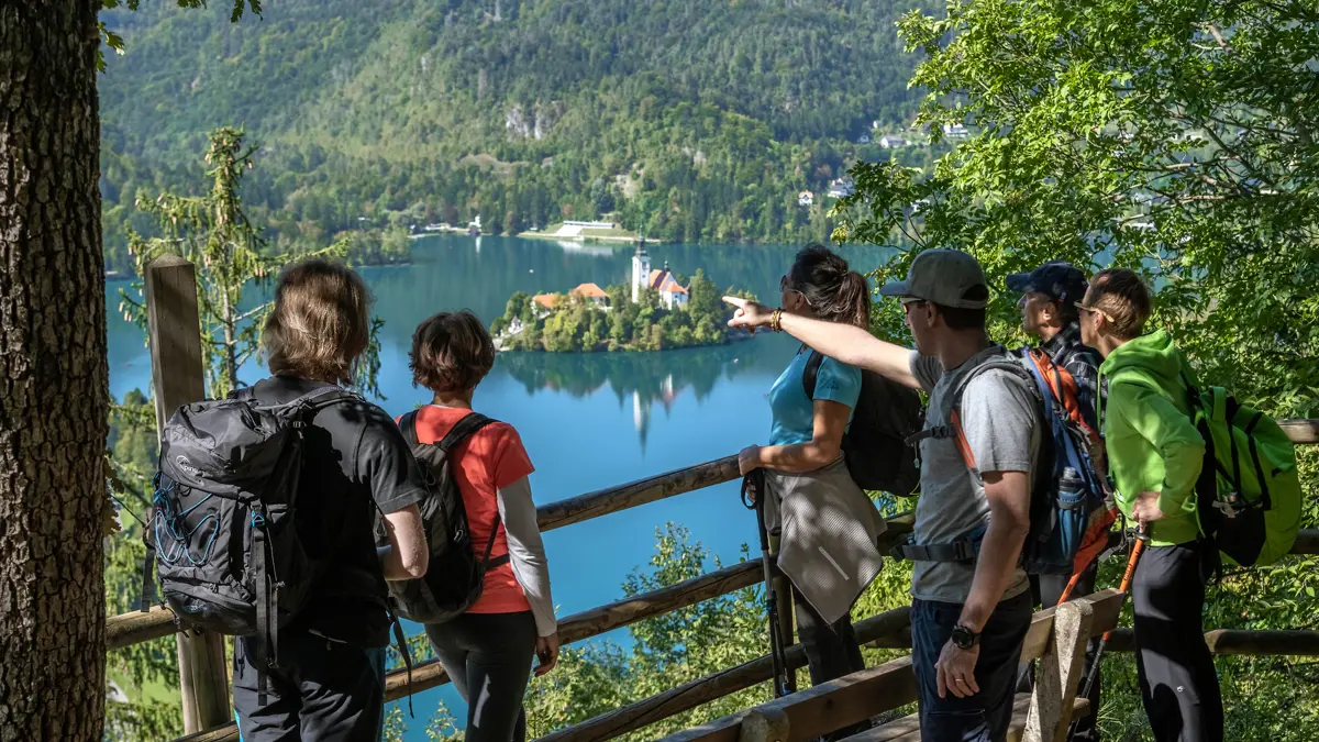 Lake Bled View
