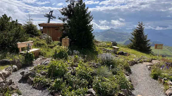 Kitzbühel Alpine Flower Garden