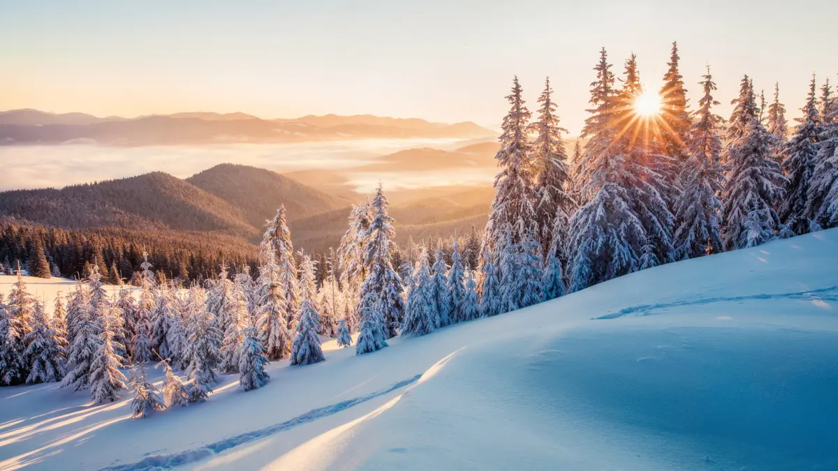 Adobestock 288733450