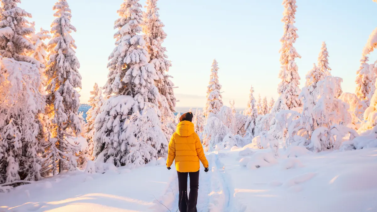 Guide Lapland What To Pack