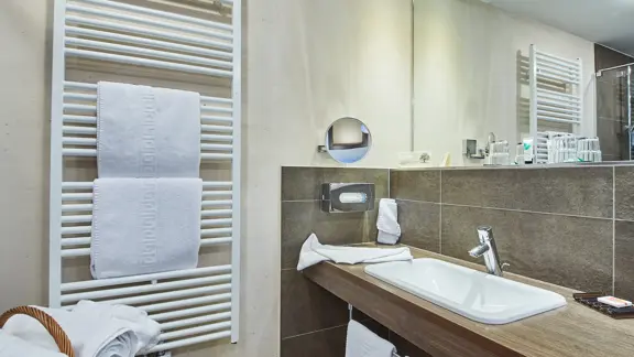 Kohlmais 22m² bathroom