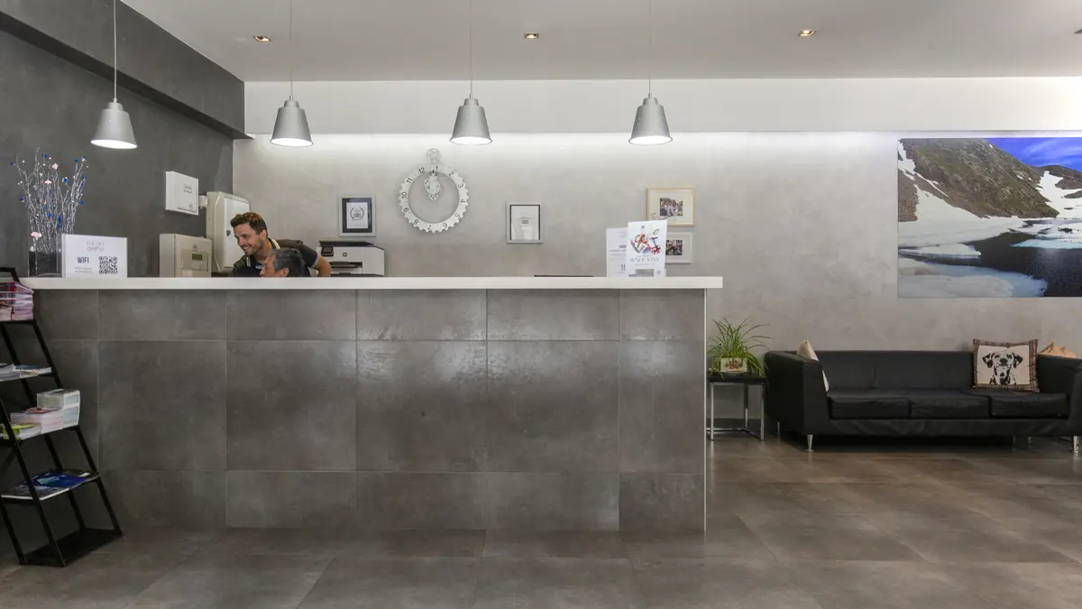 Hotel Del Pui Arinsal Reception(2)