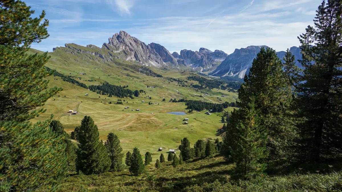 Puez Odles Natural Park, Selva