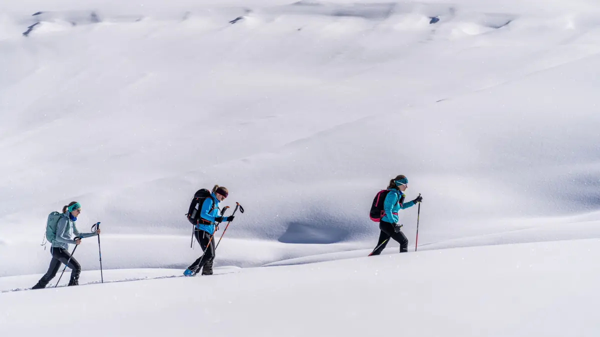 Nendaz Four Valleys Snowshoe Hike Tortin