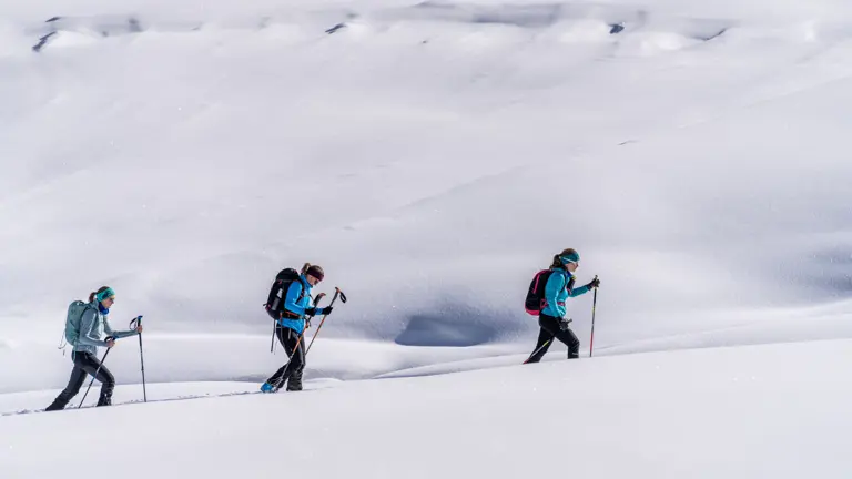 A scenic view of a landscape