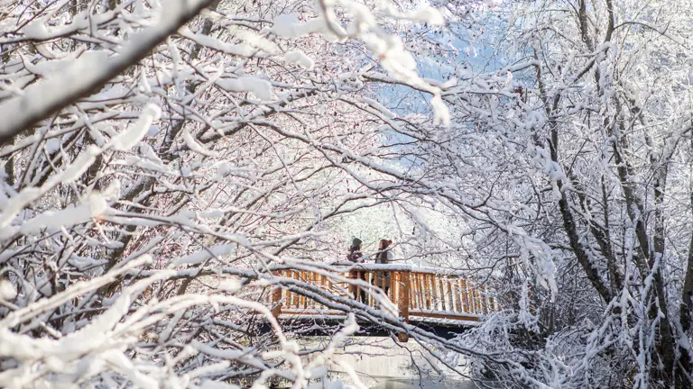 A scenic view of a landscape