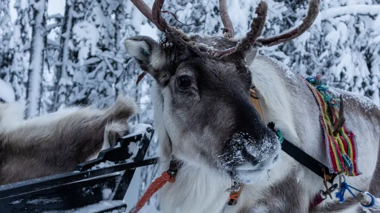 A scenic view of a landscape