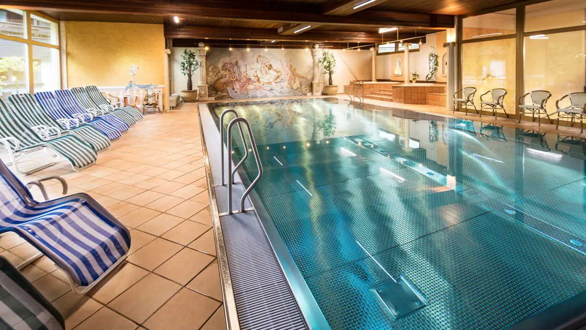 Hanneshof Resort Filzmoos Pool