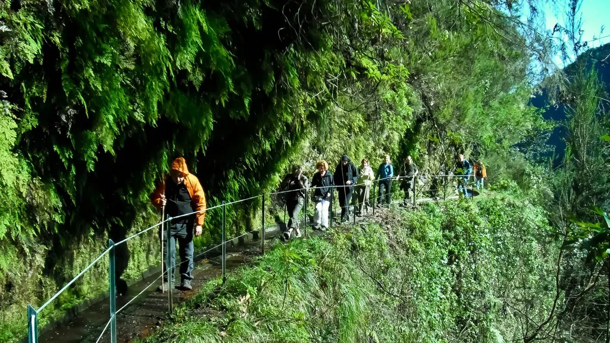 Canico Caldeirão Verde Walk