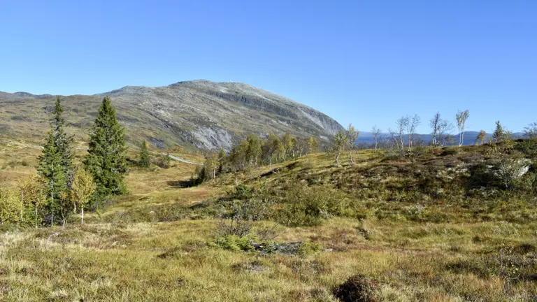 A scenic view of a landscape