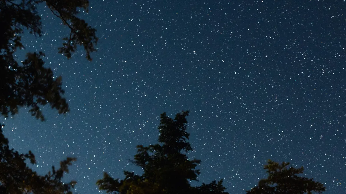 North Carolina Night Sky