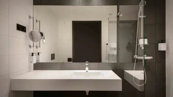 Standard room bathroom