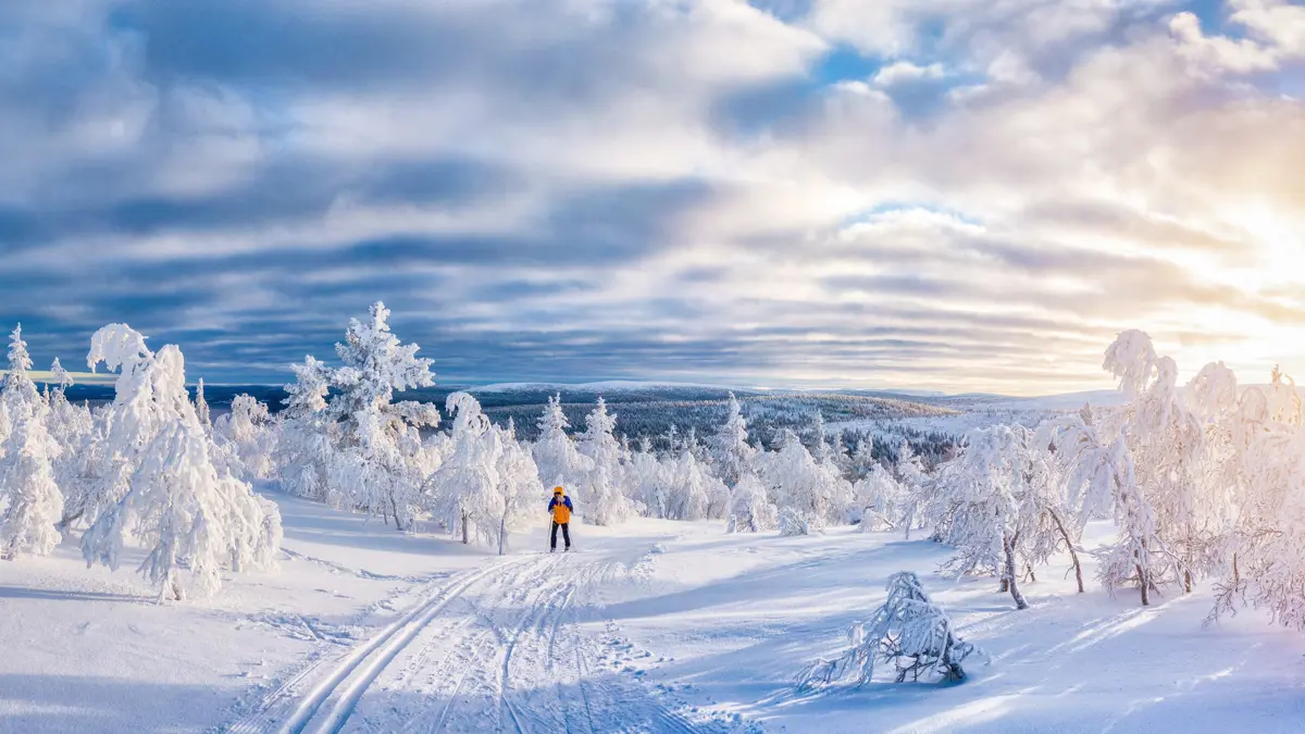 Guide Lapland True Or False 2