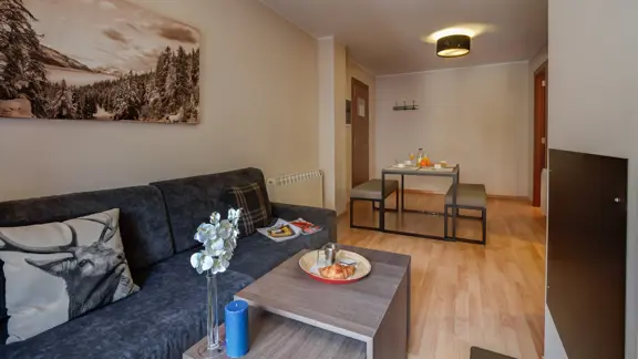 One bedroom apartment