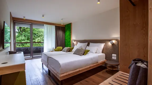 Park view double room