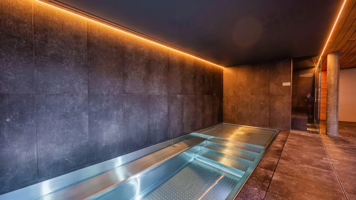 MAD Mount Hotel Nendaz Spa Area