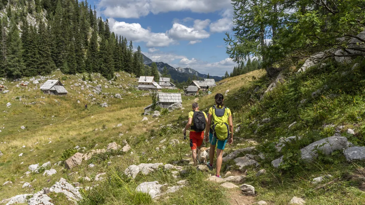 Lake Bohinj walkers