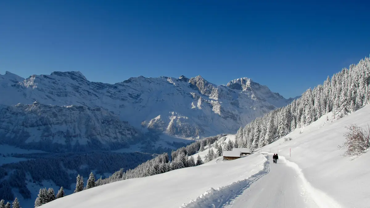 Engelberg Switzerland Winter Walking