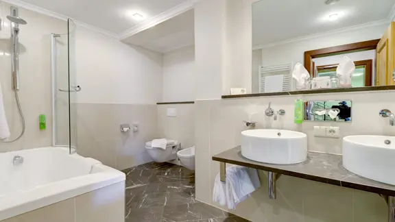Deluxe suite bathroom