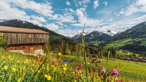Alpbach summer landscape (copyright: Alpbachtal Tourismus Wirlichtenab.De Alpbach)