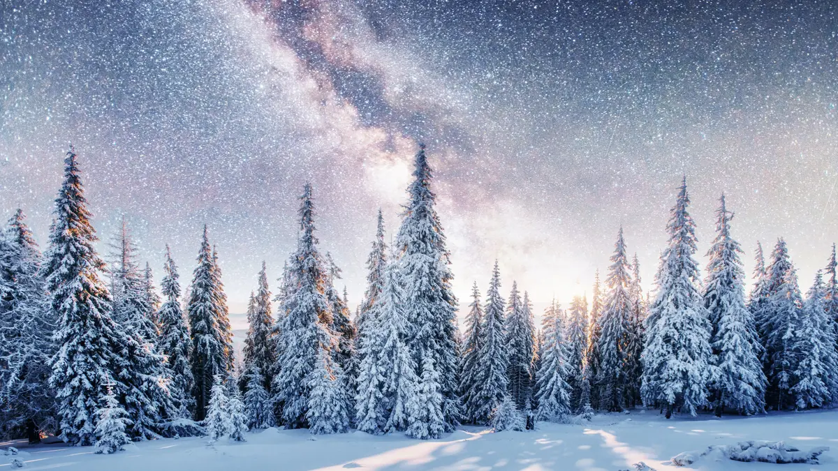 Guide Lapland Photograph The Northern Lgihts