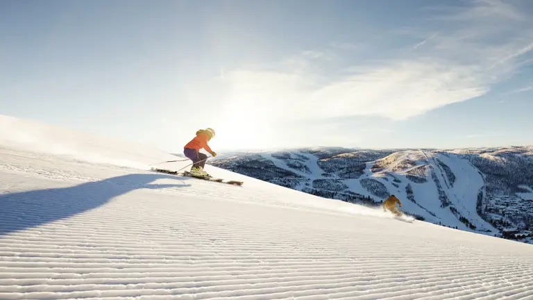 A scenic view of a landscape