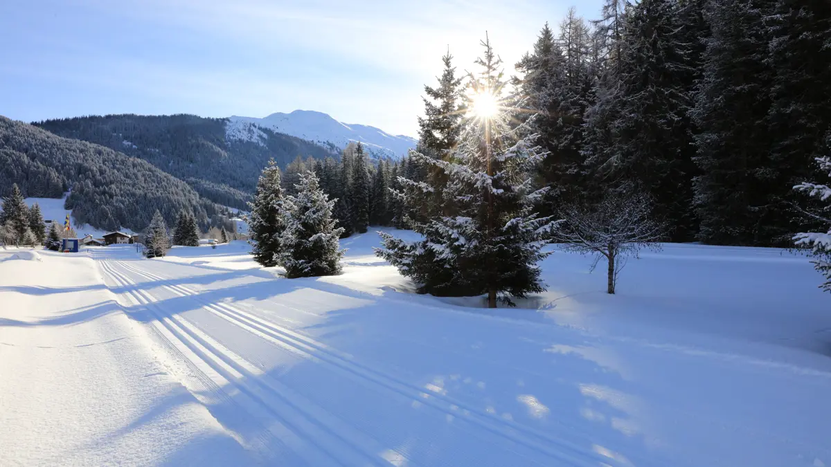 Davos Switzerland Cross Country Trails