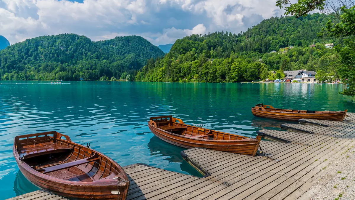 Lake Bled rowing boats 