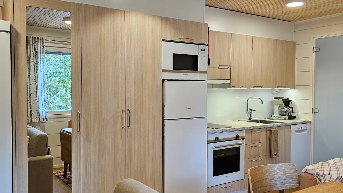 Levilehto Studio Apartment (26M²) (1)