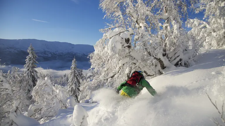 A scenic view of a landscape