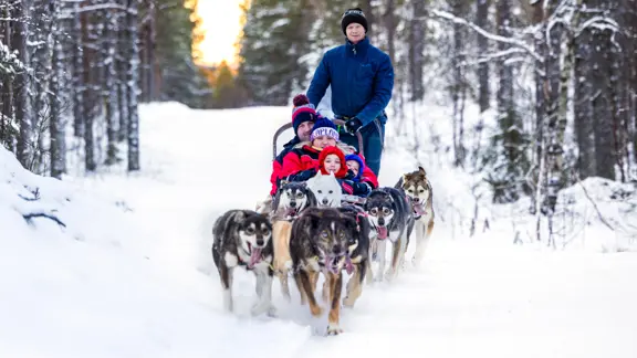 Inghams Lapland Husky Safari Levi